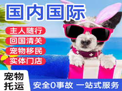 成都机场物流国际宠物托运 【国